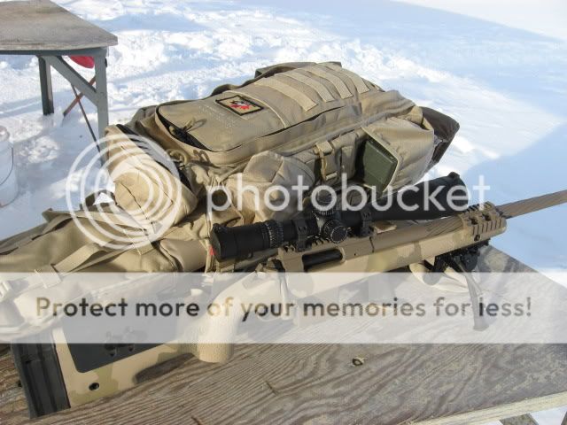 coyote277.jpg