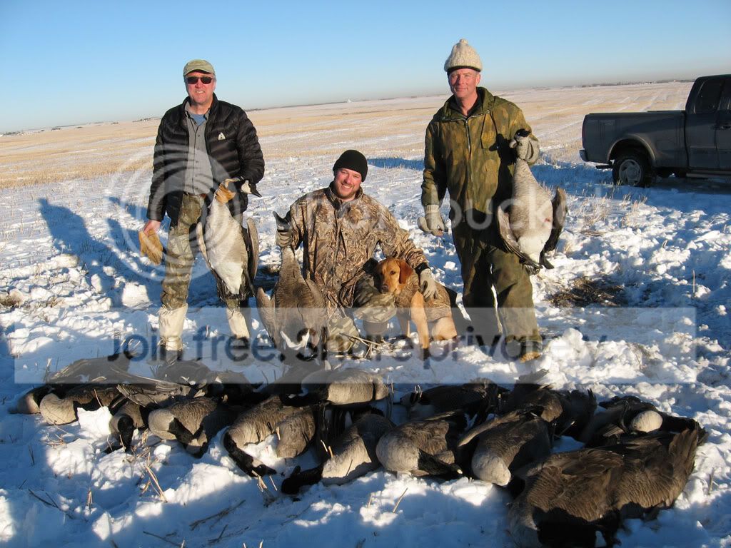dec2010_goose_hunt011.jpg