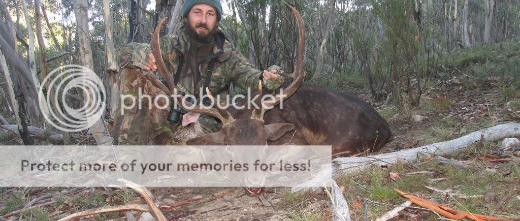 IMG_4995blackbuck.jpg~original