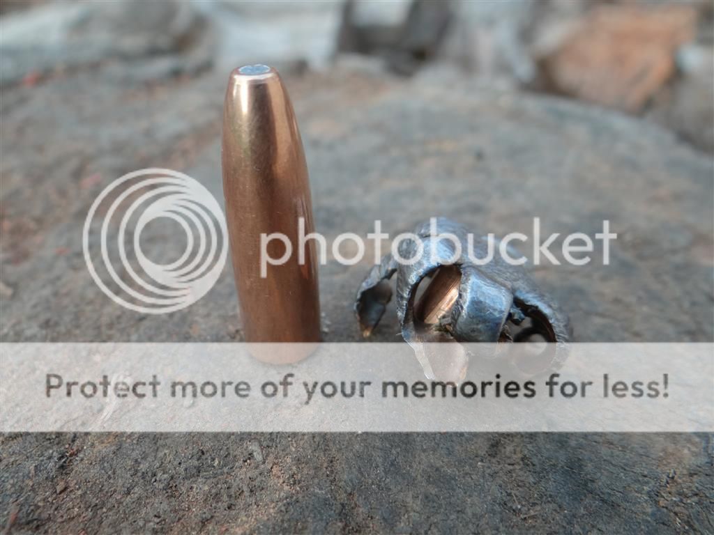 woodleigh338.jpg~original