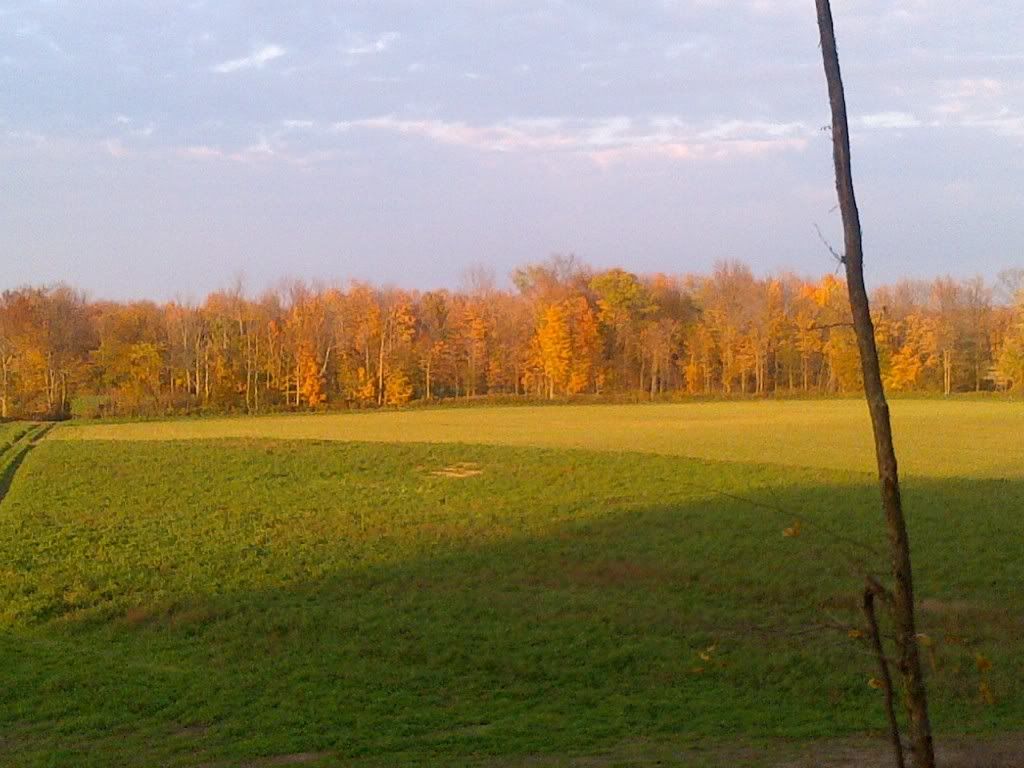 IMG-20111023-00075.jpg