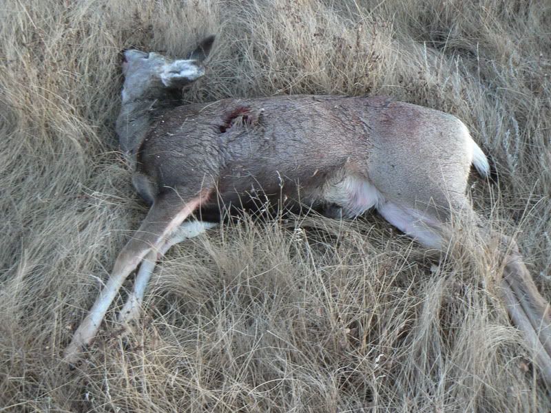 hunt2008005.jpg