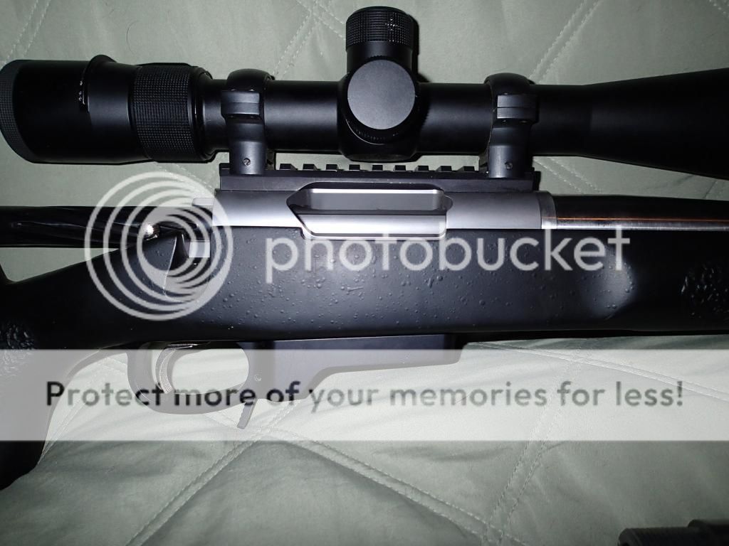 PB030003_zpsb17215ab.jpg