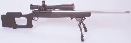 VARMINT_STOCK.jpg