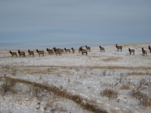 IMG_0293.jpg