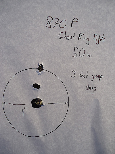 870P_slugs_50m_3group.JPG