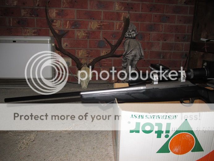 IMG_1103paintedt3.jpg~original