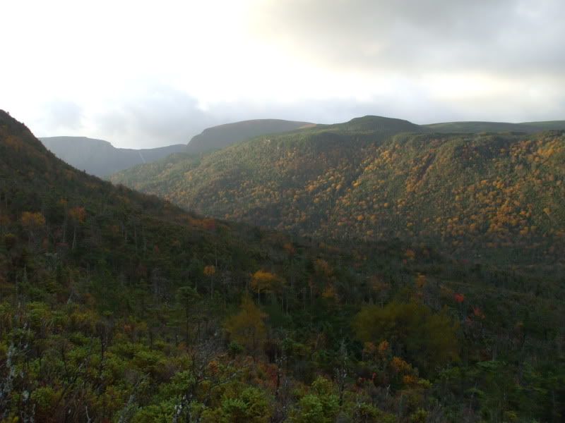 DSCF2558.jpg