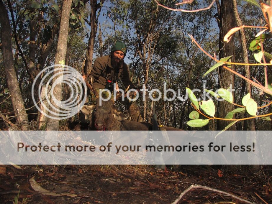 IMG_3076Cranker2016.jpg~original