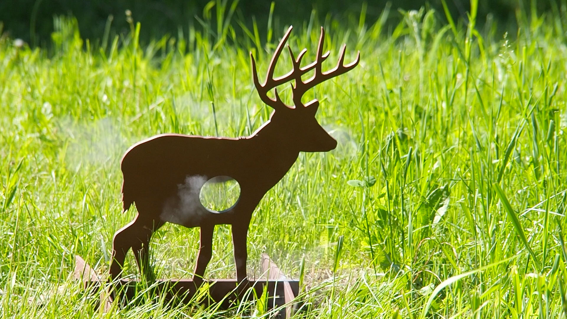 whitetail_buck_b.jpg