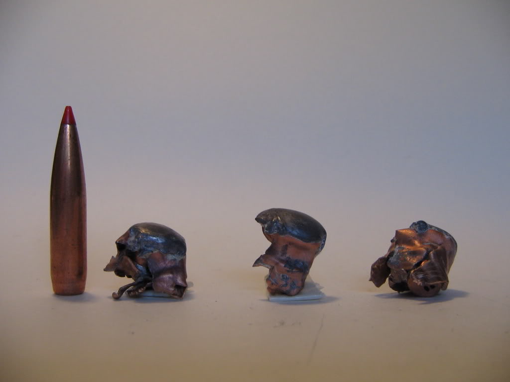 Hornady140gr-A-Max.jpg
