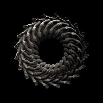 ExtremityI.gif