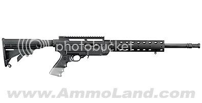 Ruger-SR-22-Rifle1.jpg