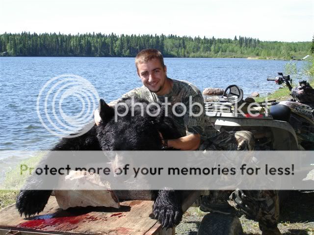 Bojan_s_bear_016.jpg