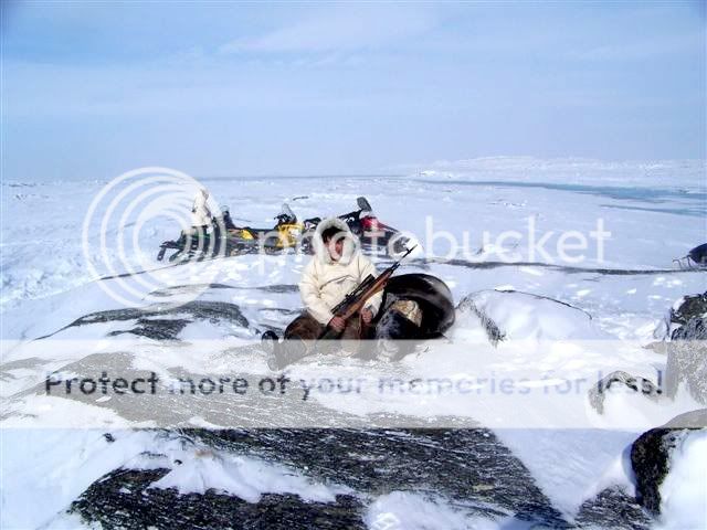muskoxhunt3.jpg