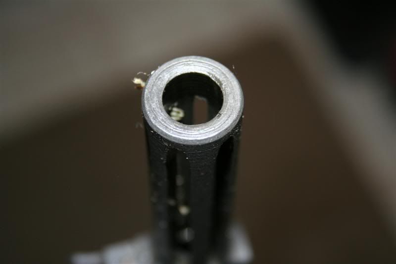 IMG_0856Medium.jpg