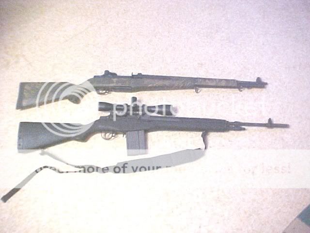 Springfields.jpg