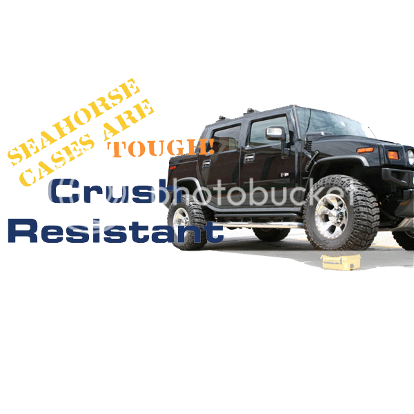 truckseahorse-600.png