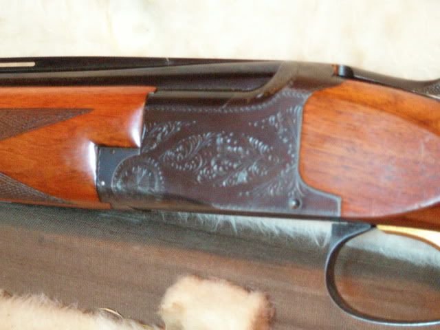 P2040126.jpg