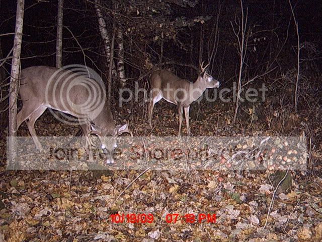 MDGC0025.jpg