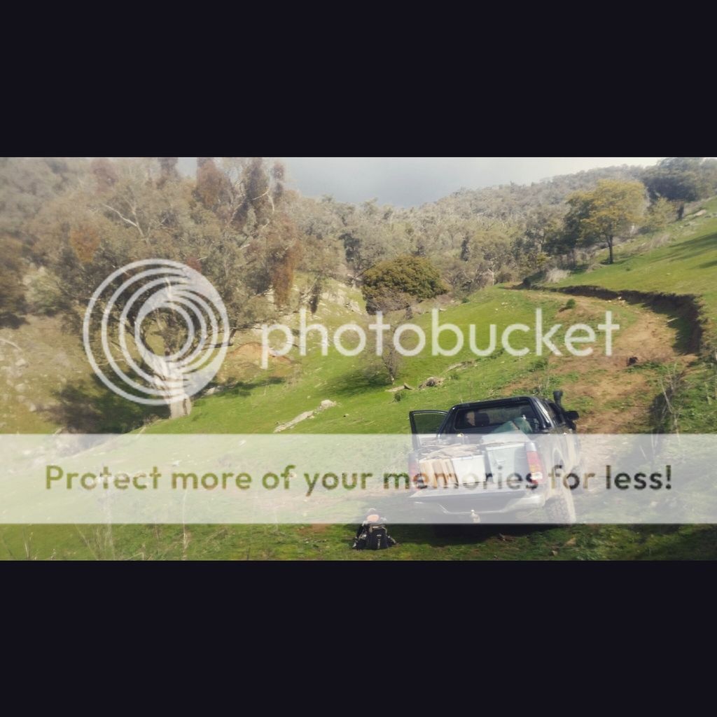 IMG_20150813_135026.jpg~original