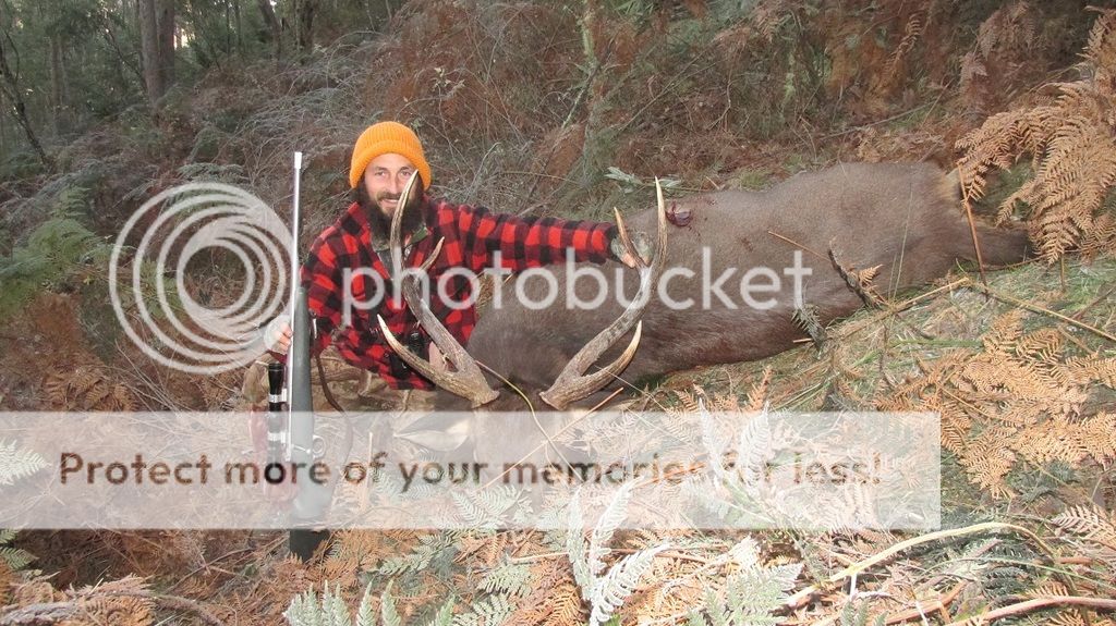 IMG_5927frosty25kim.jpg~original