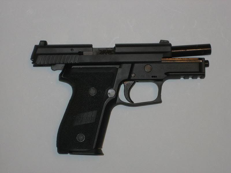 SIG7.jpg