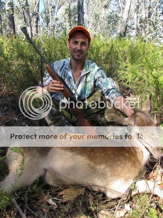 IMG_0380fallow303.jpg~original
