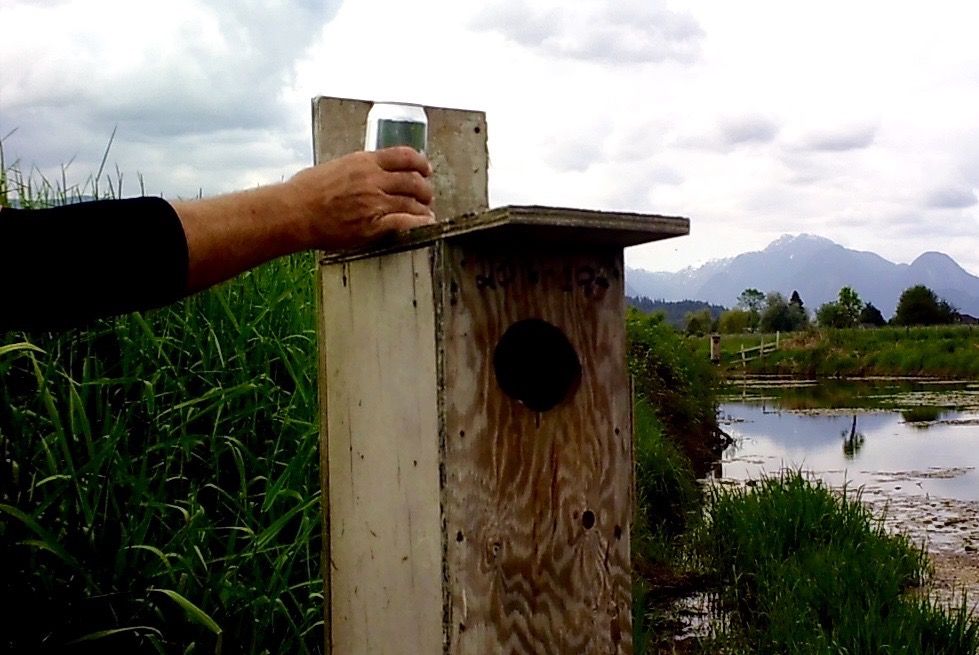 image_zpsuljyxtsk.jpeg~original