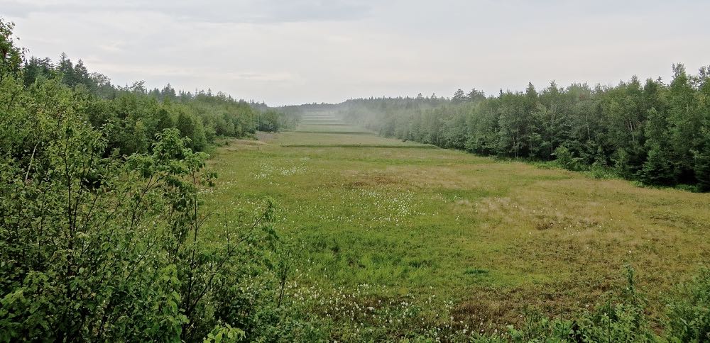 tgEg7P0.jpg