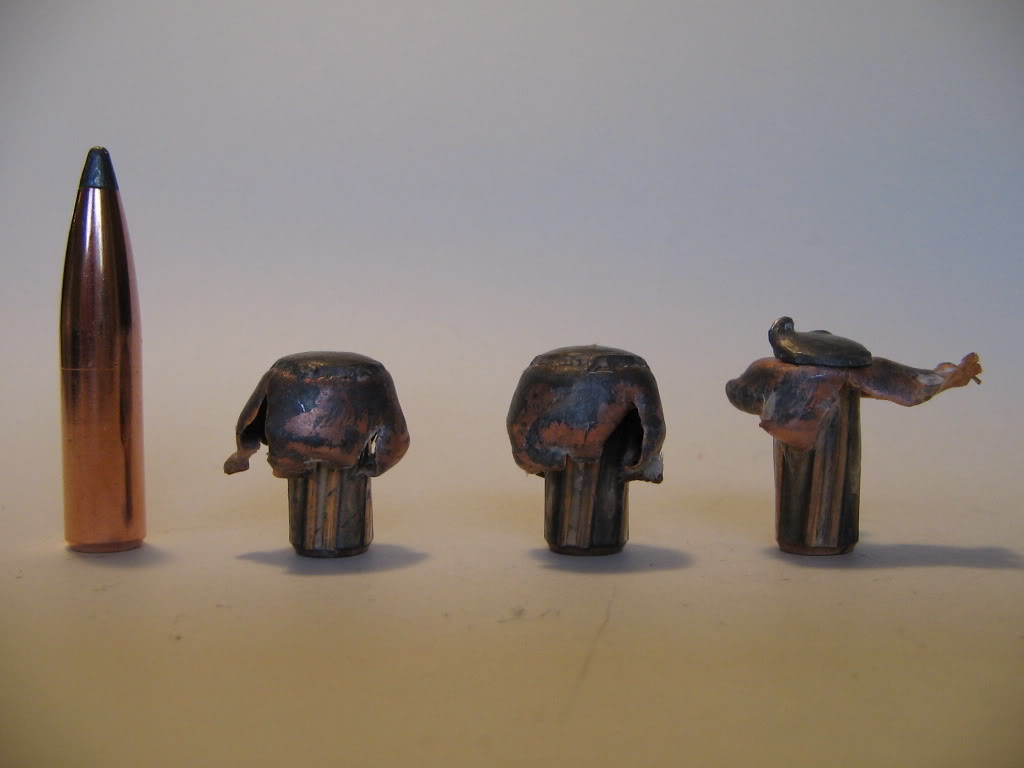Nosler140gr-PT.jpg