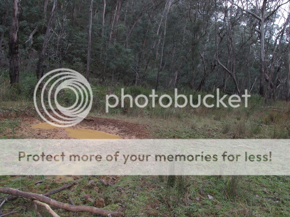 IMG_0961zeka.jpg~original