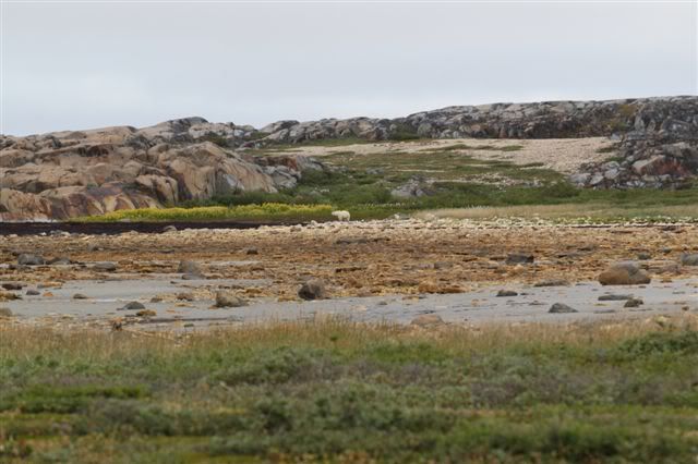 DSC_0480.jpg