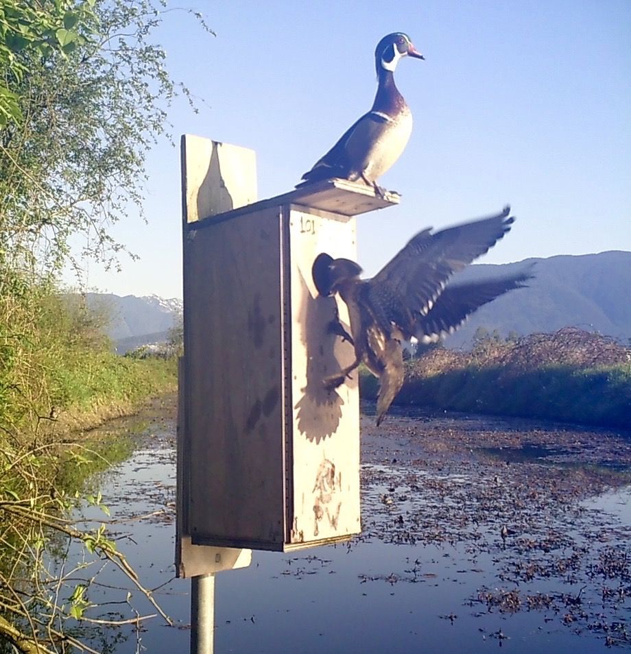 image_zpsaj2g5f3a.jpeg~original