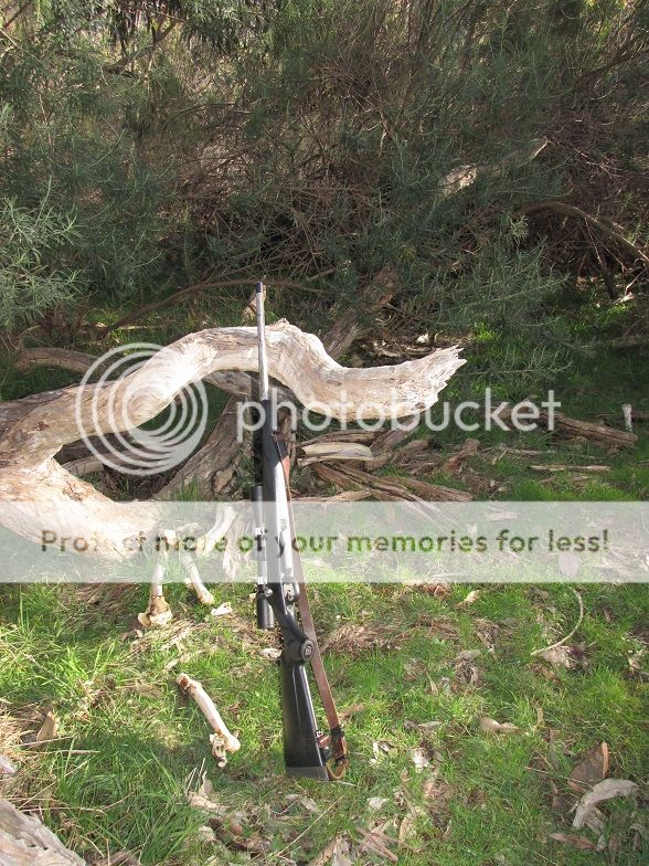 IMG_1201Tikkat3bones.jpg~original