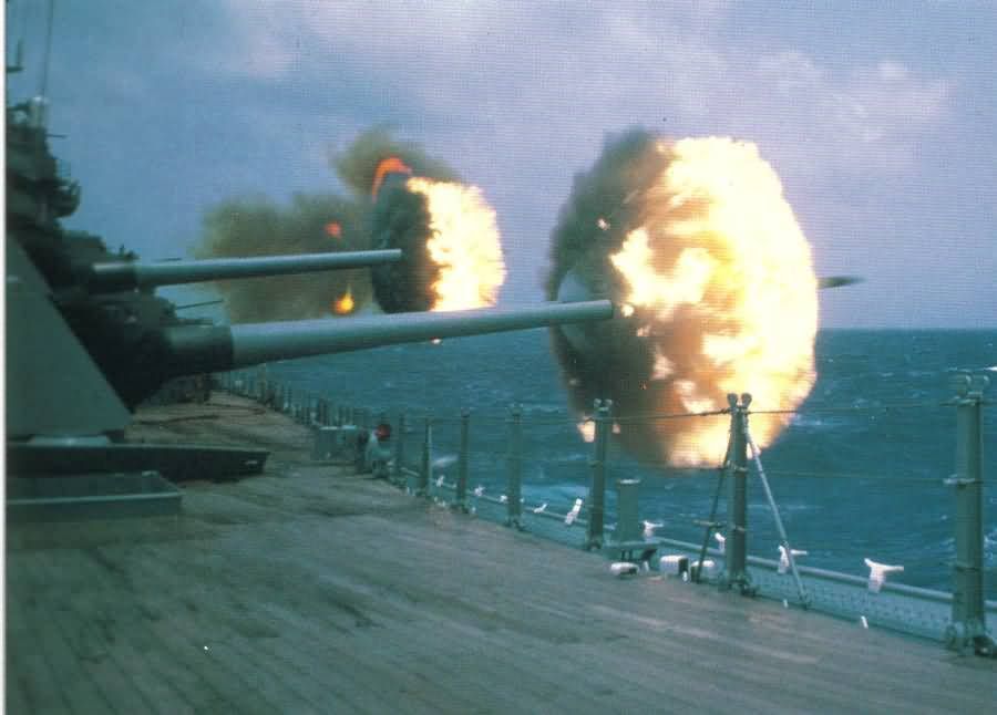 5-inch-Navy.jpg