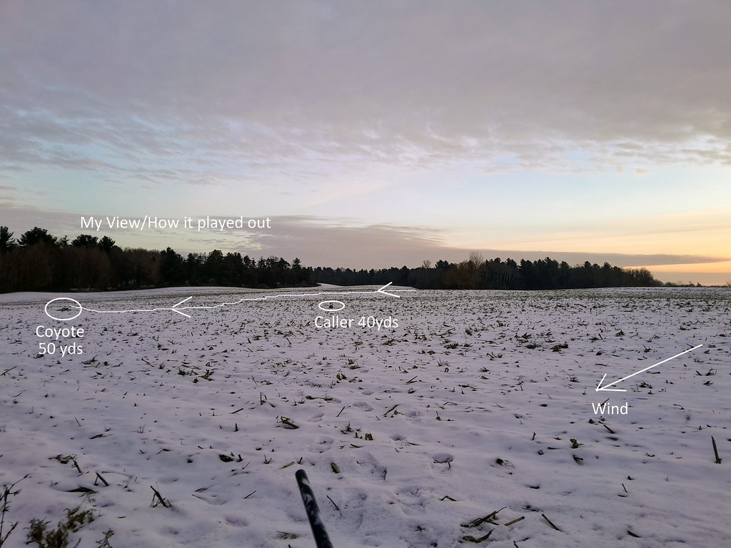 54230279568_2c3cfb83dd_b.jpg
