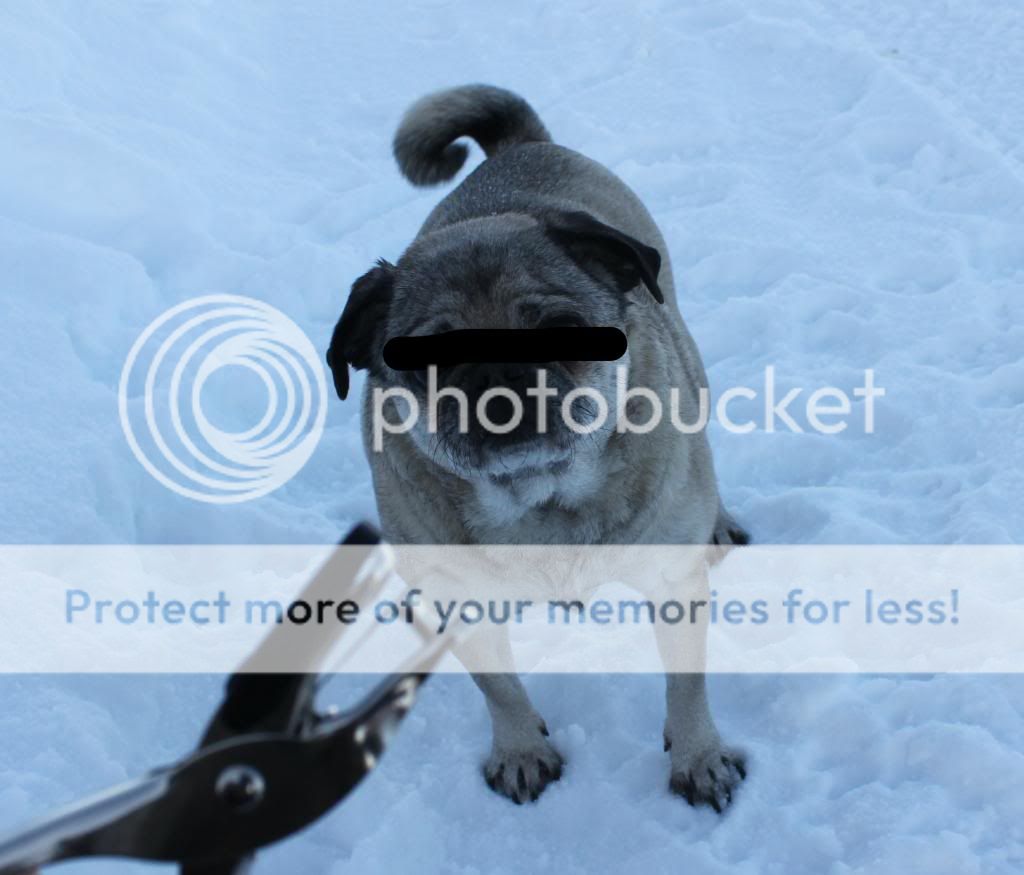 IMG_8882_zps8fbe53c9.jpg