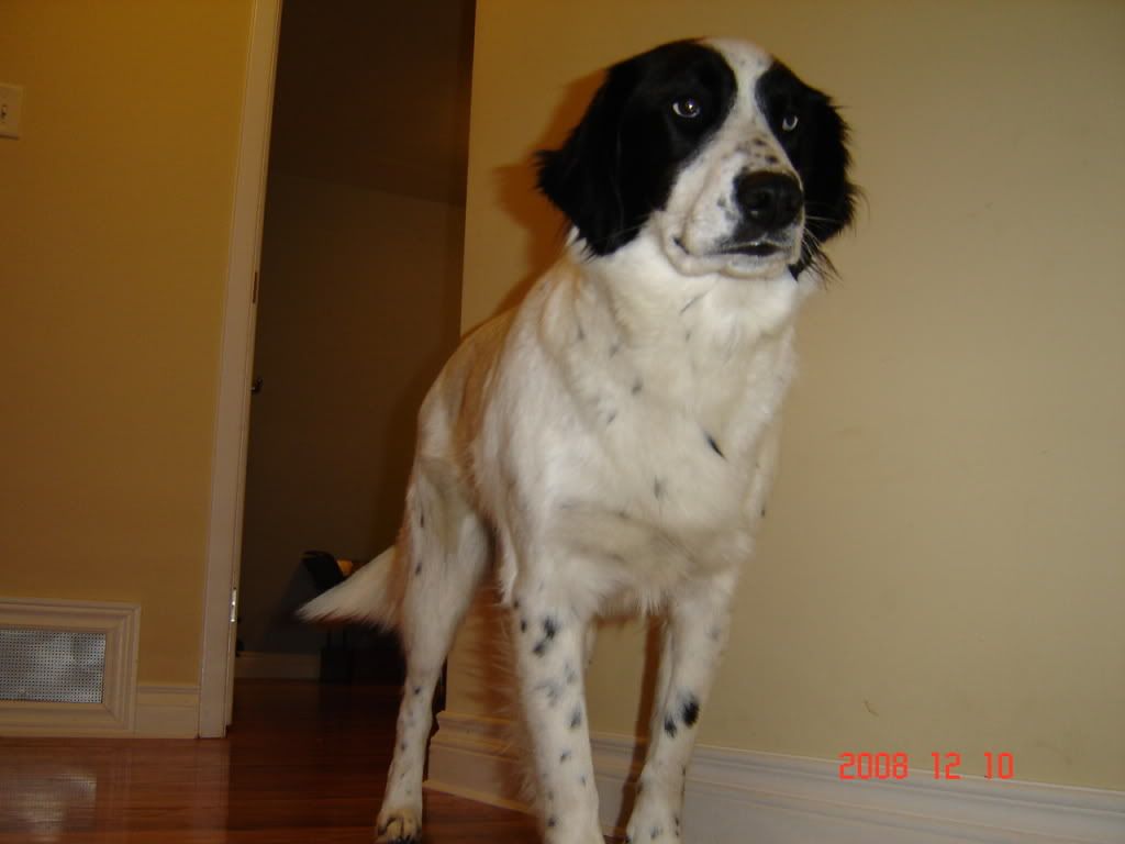 DSC07144.jpg