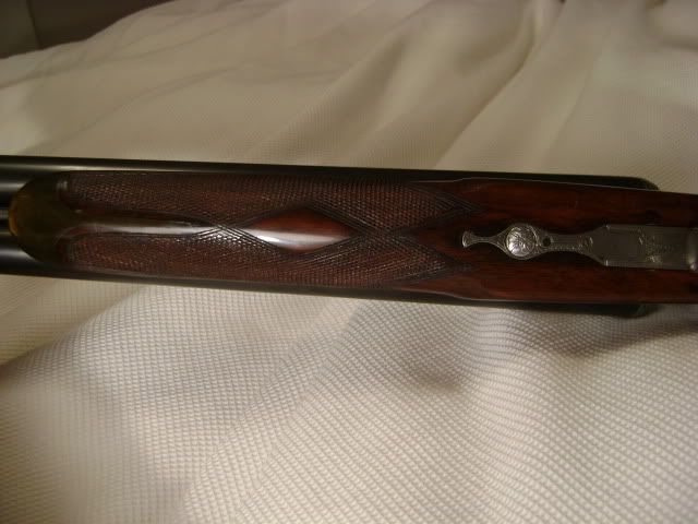DSC01276.jpg