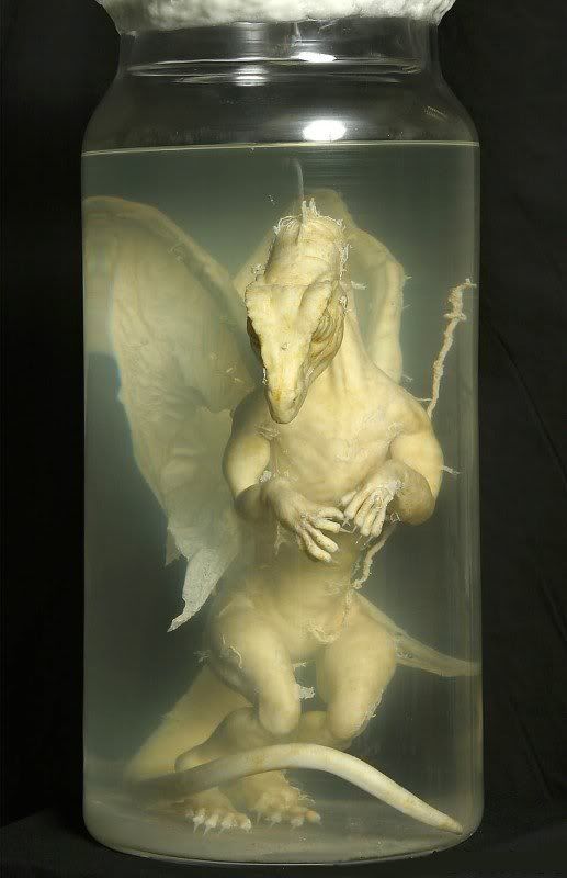 DragonEmbryo-narrowpic.jpg