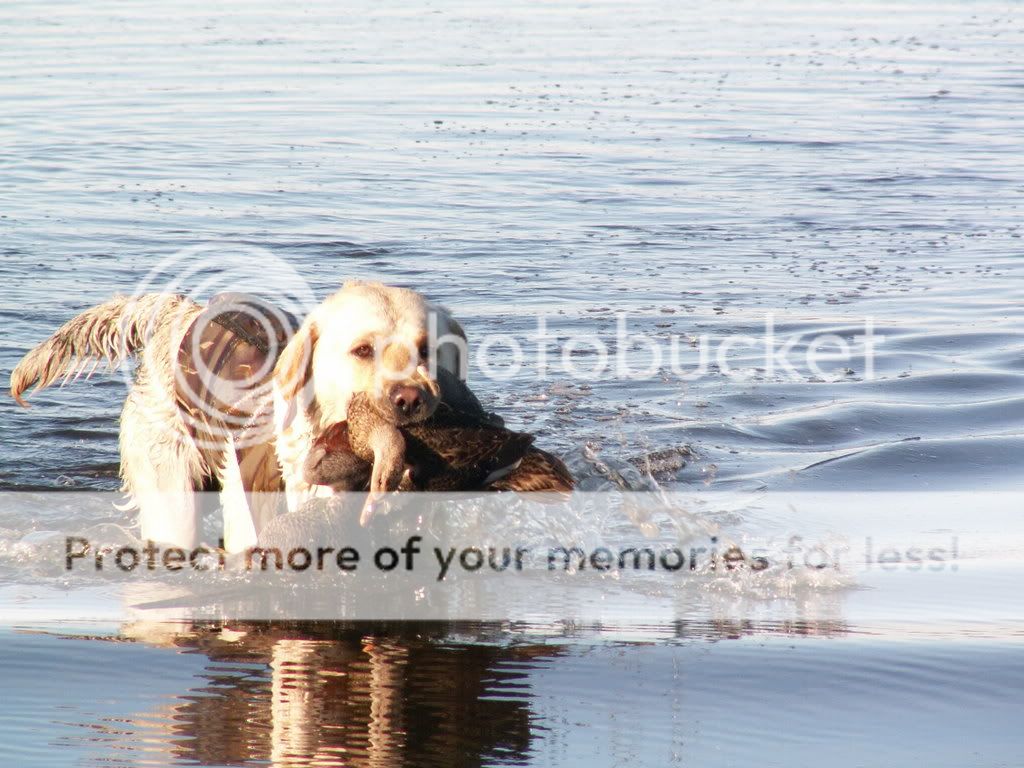 double.jpg