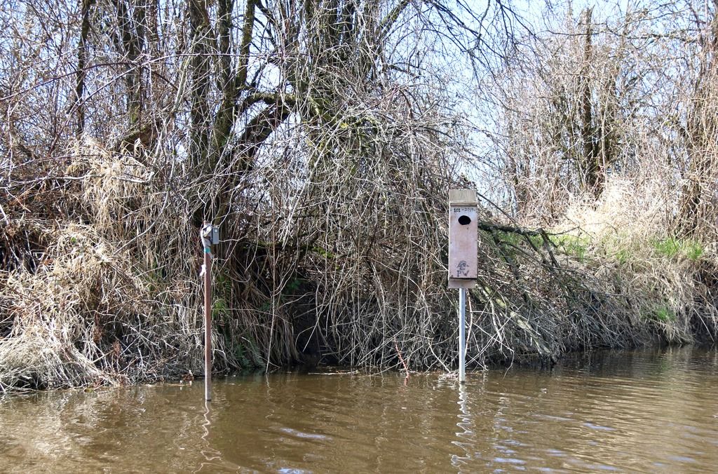 IMG_2607_zpsgb9ndfo6.jpg~original