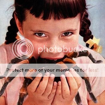 919903794-1.jpg
