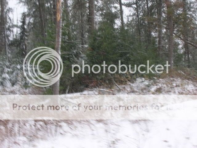 Picture008.jpg