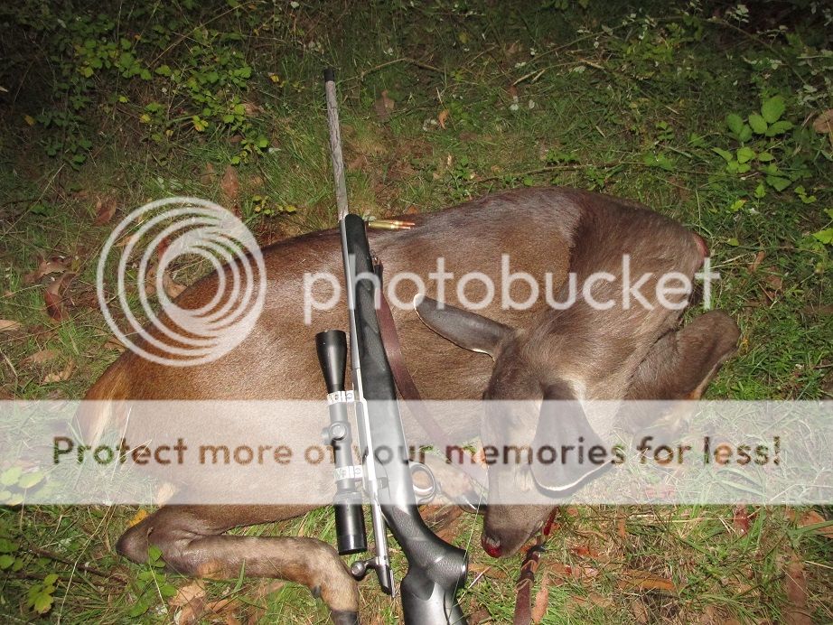 IMG_2090bt168.jpg~original