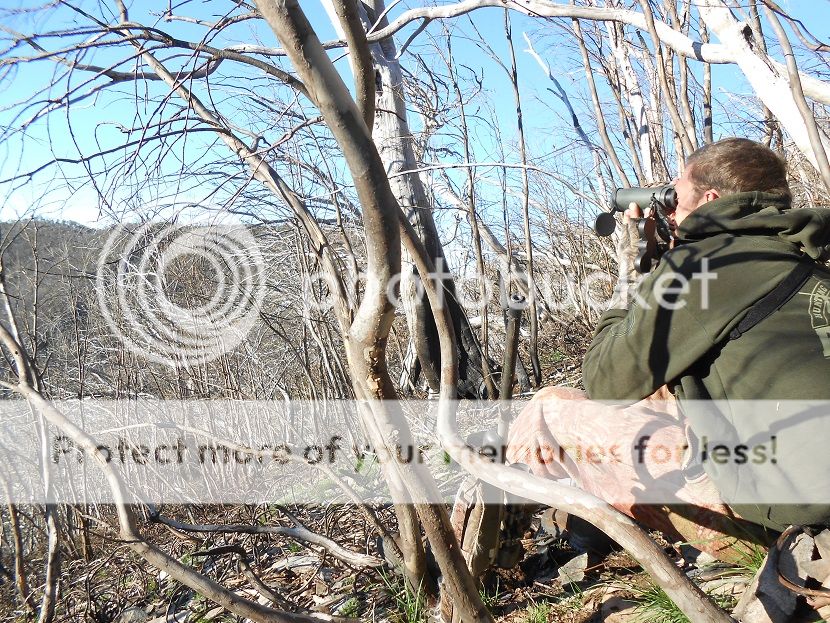 DSCN0772mitchglassing.jpg~original