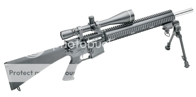 newAR223.jpg