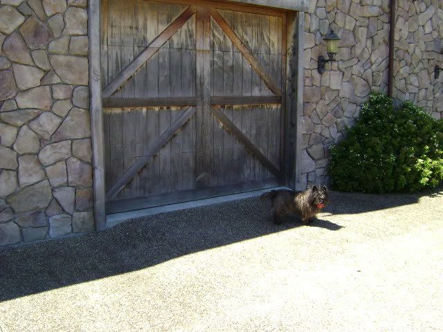 DSC00338.jpg