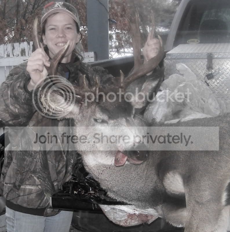 deer3.jpg